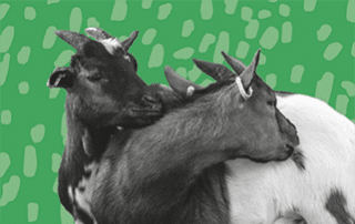 Spendenprojekte | Karl Immanuel Küpper-Stiftung