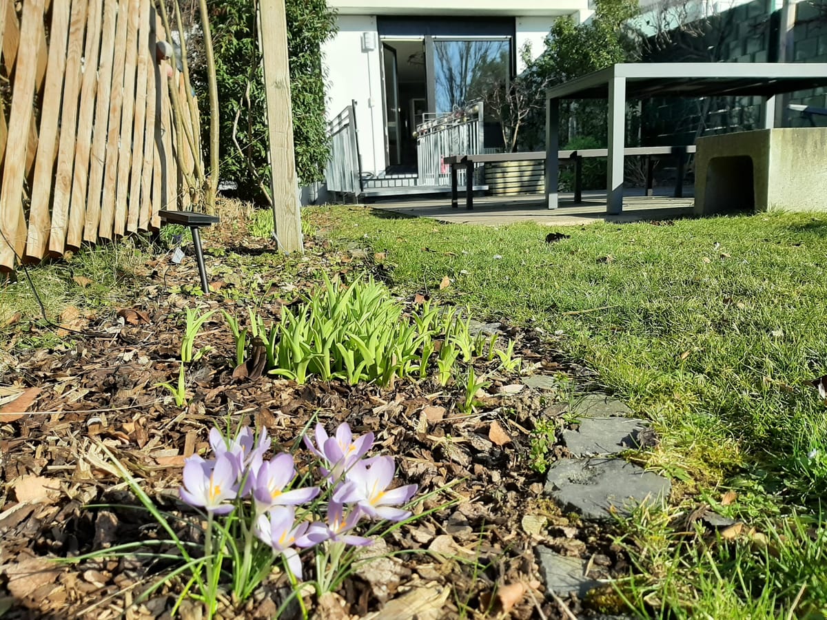 AWG-Ensen-Wiese--Karl-Immanuel-Kuepper-Stiftung-15