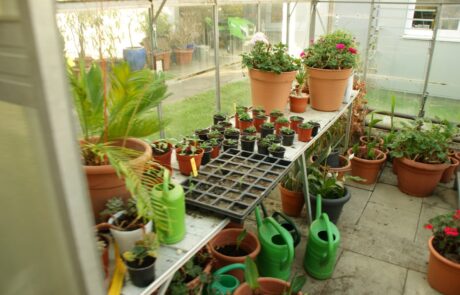 Gartenwerk | Karl Immanuel Küpper-Stiftung Karl Immanuel Küpper-Stiftung - Tagesstruktur - Gartenwerk - 17