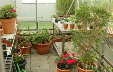 Gartenwerk | Karl Immanuel Küpper-Stiftung Karl Immanuel Küpper-Stiftung - Tagesstruktur - Gartenwerk - 16