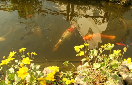 Gartenwerk | Karl Immanuel Küpper-Stiftung Karl Immanuel Küpper-Stiftung - Tagesstruktur - Gartenwerk - 14