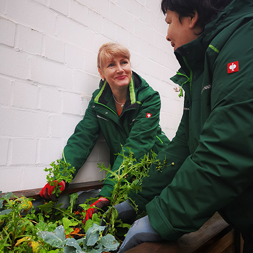Gartenwerk | Karl Immanuel Küpper-Stiftung